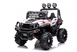 2 Seaters UTV Kids Ride-On Cars with 2.4G Remote Control